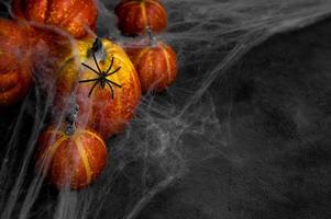 banner de halloween en negro y naranja con lugar para texto. calabazas decoradas con telarañas y arañas. vista lateral superior foto