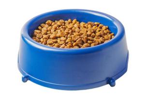 Dry pet food for cats or dogs in a blue plate isolated on a white. Balanced dry food for pets. photo