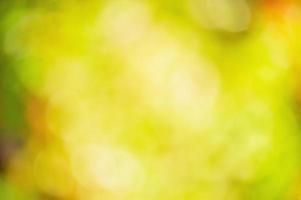 Blurred defocus background green yellow and red background. Defocus light autumn. photo