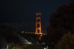 puente golden gate iluminado en san francisco visto a través de los árboles en la noche foto