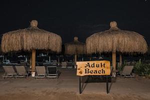 Adult beach text on signboard and deckchairs with parasols in background photo