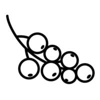 doodle icon currant branch, berry on a branch, linear icon, hand drawing vector