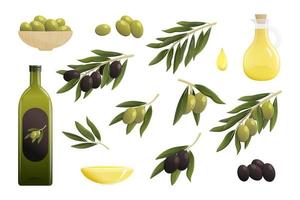 Olive oil cartoon set. Bottle of oil, green and black olive branch, drop of oil. Vector illustration