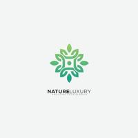 luxury design line gradient color vector