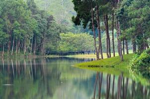 Nature landscape at morning of lakes and pine forests