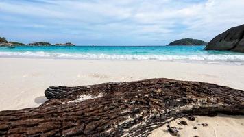 Madera vieja a la deriva en la playa en la isla de Tailandia foto