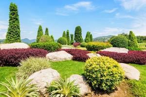 hermoso jardín decorado con piedras, plantas ornamentales y árboles se podan bajo el cielo azul. foto