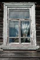 gato alarmado sentado en un alféizar y mirando por la ventana en una antigua casa de campo. foto