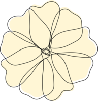 minimalistische Dekorationsblume png