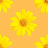 pattern of yellow flowers for summer photo