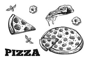 Pizza slices set. Hand drawn sketch style different pizza. Best for menu designs, and packages. Vector illustrations isolated on white.