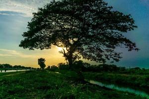 beautiful sunset over the field photo