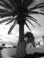 the island of lanzarote photo