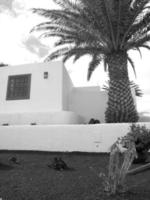 the island of lanzarote photo