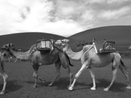 Lanzarote island in spain photo