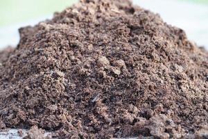 Peat moss, fertilizer soil for organic agriculture, plant growing, ecology concept. photo