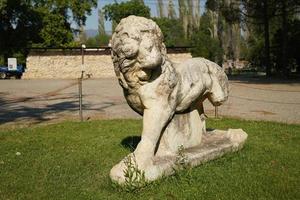 Lion Statue in Aphrodisias Ancient City in Aydin, Turkiye photo