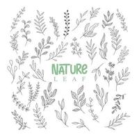 nature leaf drawing line art vector