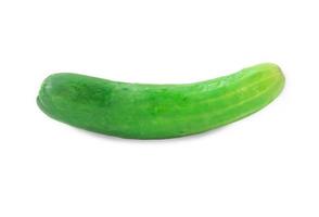 Single fresh green cucumber vegetable isolated on white background with clipping path photo