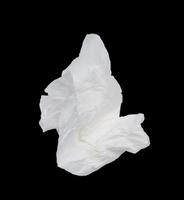 Single screwed or crumpled tissue paper or napkin after use in toilet or restroom isolated on black or dark background with clipping path photo