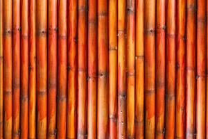 Bright color of bamboo wall background photo