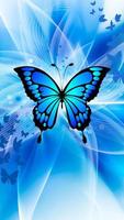 Blue Butterfly Abstract Background photo