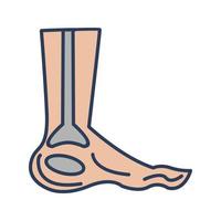 Foot X ray Vector Icon