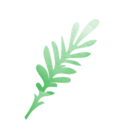 Element Leaf shape PNG transparent