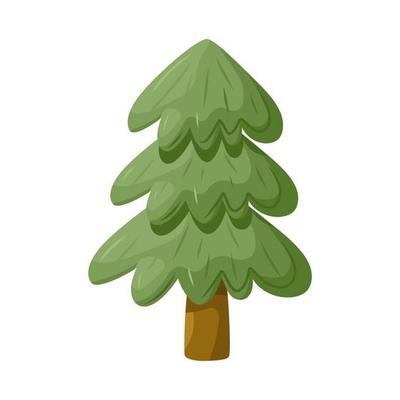 Evergreen tree. Fir tree, pine drawing. Vector cartoon illustration.