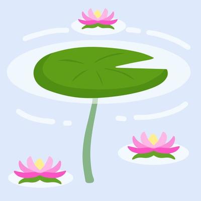 Water lily in pond. River plant. Green leaves on water. Nature of swamp, scenery of lake. Flat cartoon