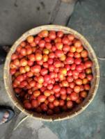 pile of red and fresh tomatoes ready to be marketed right photo