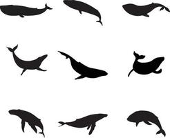 A vector collection of Whales for artwork compositions