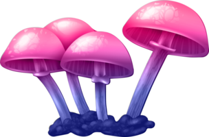 cogumelo colorido mágico png