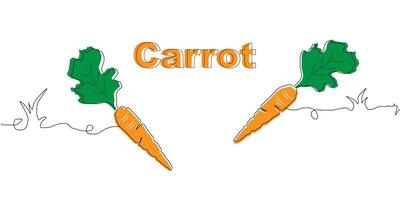 illustration of carrot vector