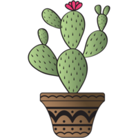 Aesthetic Vintage Cactus Plan Collection png