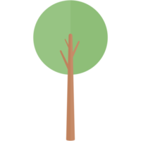 piatto albero natura estetico collezione impostato png