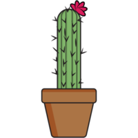 estetico carino cactus Piano collezione png