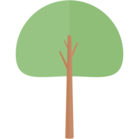 piatto albero natura estetico collezione impostato png