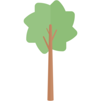 piatto albero natura estetico collezione impostato png