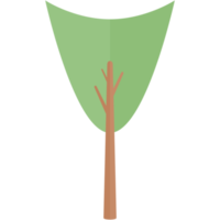 piatto albero natura estetico collezione impostato png