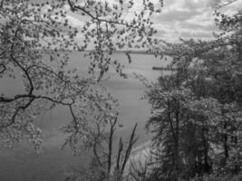 at the baltic sea in poland photo