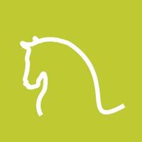 Horse Line Color Background Icon vector