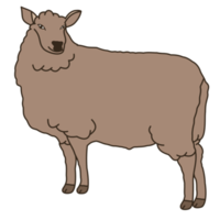 esthétique mignon mignon mouton brun bullet journal png