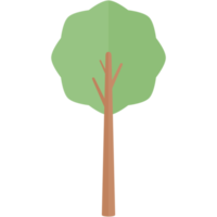 piatto albero natura estetico collezione impostato png