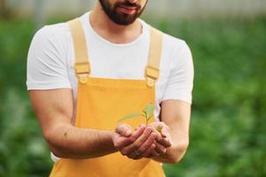 sosteniendo la planta en las manos. joven trabajador de invernadero con uniforme amarillo tiene trabajo dentro del invernadero foto