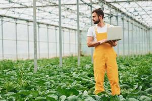 joven trabajador de invernadero con uniforme amarillo con laptop en las manos tiene trabajo dentro del invernadero foto