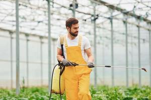 Young greenhouse worker in yellow uniform watering plants by using special equipment inside of hothouse photo