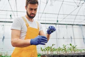 sostiene el tubo de ensayo con agua. joven trabajador de invernadero con uniforme amarillo tiene trabajo dentro del invernadero foto