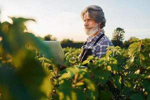 con la computadora portátil en las manos. hombre elegante senior con cabello gris y barba en el campo agrícola con cosecha foto