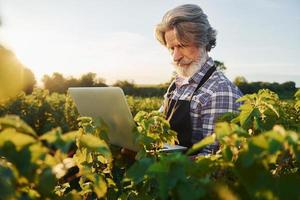 con la computadora portátil en las manos. hombre elegante senior con cabello gris y barba en el campo agrícola con cosecha foto